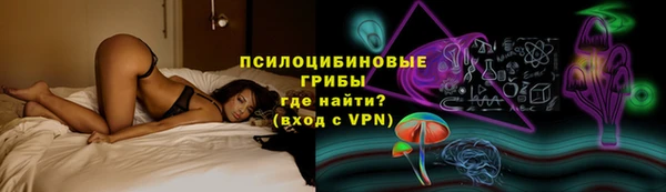 стаф Инта