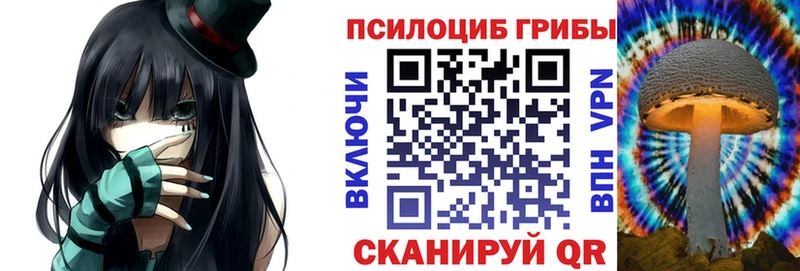 Купить  Александровск  Псилоцибиновые грибы Psilocybe 