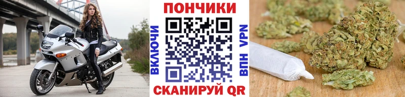 Купить закладки  Александровск  Конопля VHQ 